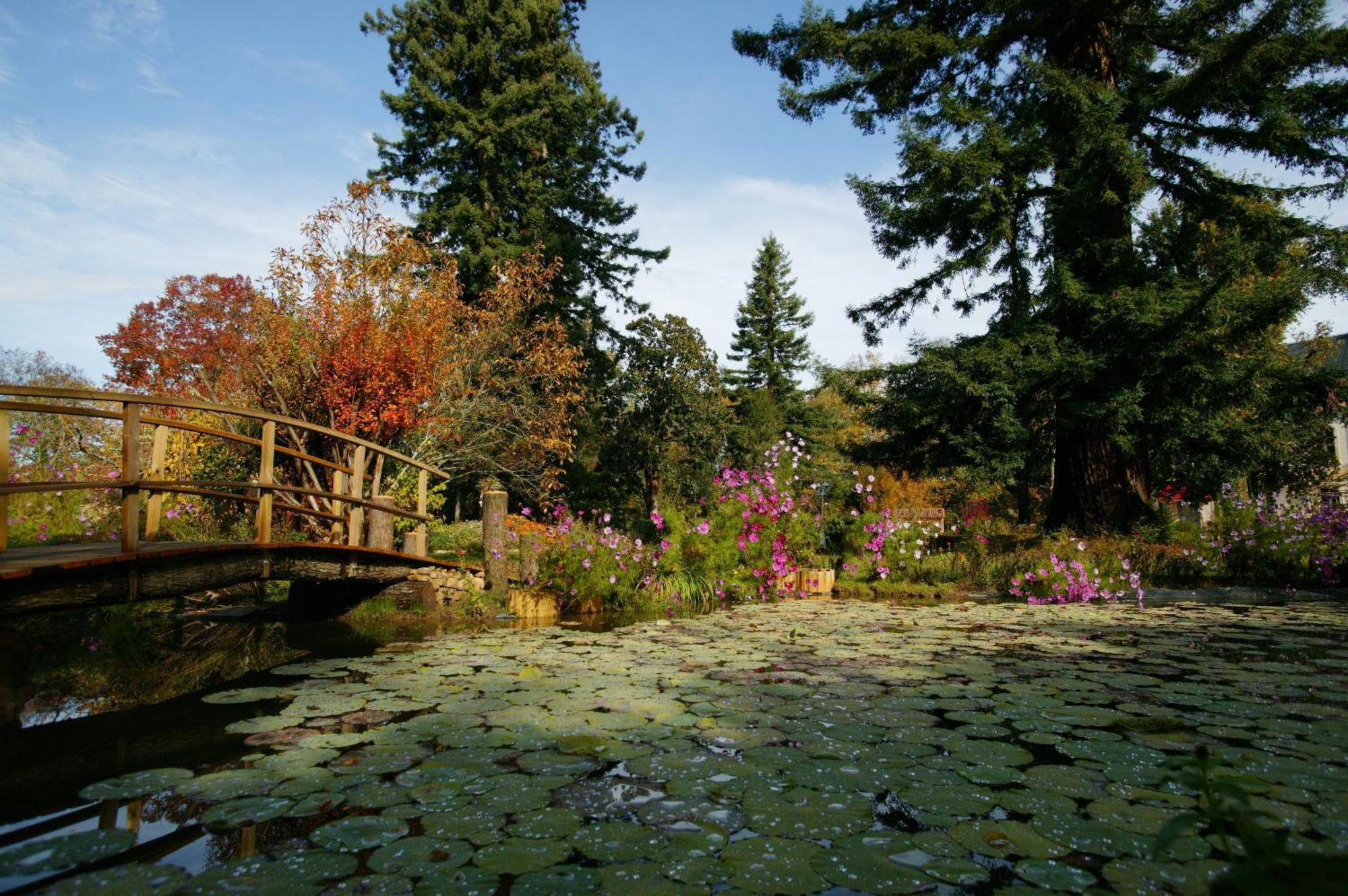 Le Manoir De Bellerive Hotell Le Buisson-de-Cadouin Exteriör bild